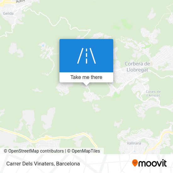 Carrer Dels Vinaters map