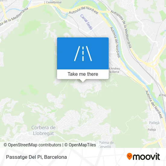 Passatge Del Pi map