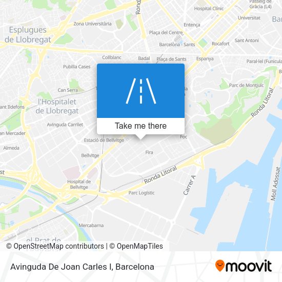 Avinguda De Joan Carles I map