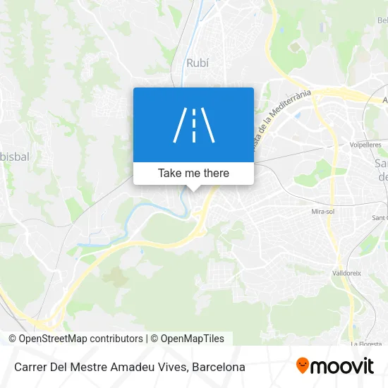 Carrer Del Mestre Amadeu Vives map