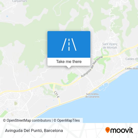 Avinguda Del Puntó map