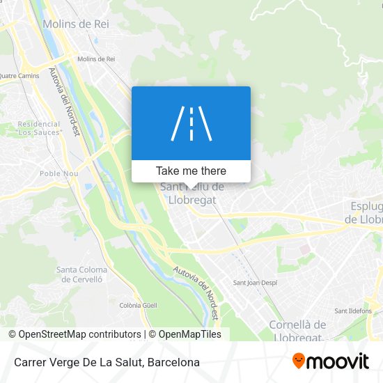 Carrer Verge De La Salut map