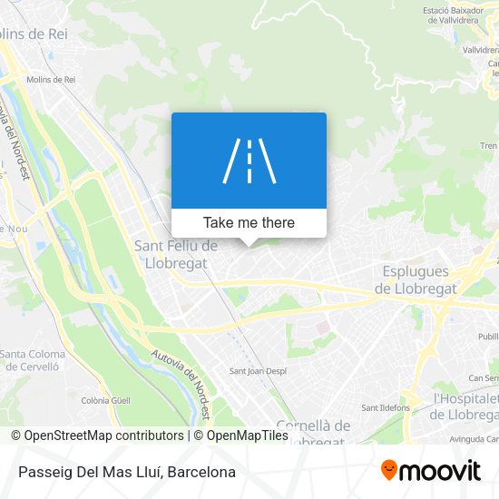 Passeig Del Mas Lluí map