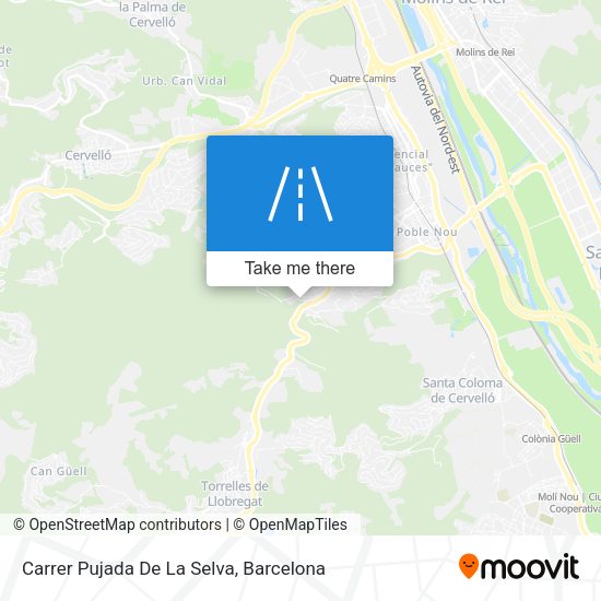 Carrer Pujada De La Selva map