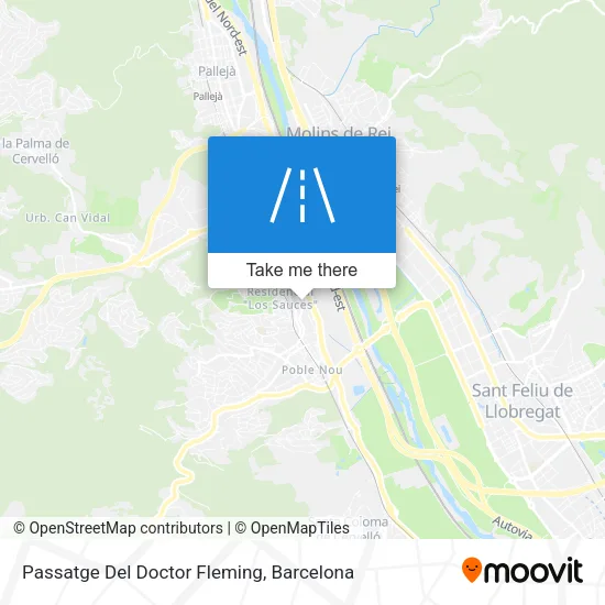 Passatge Del Doctor Fleming map