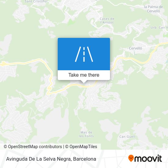 Avinguda De La Selva Negra map