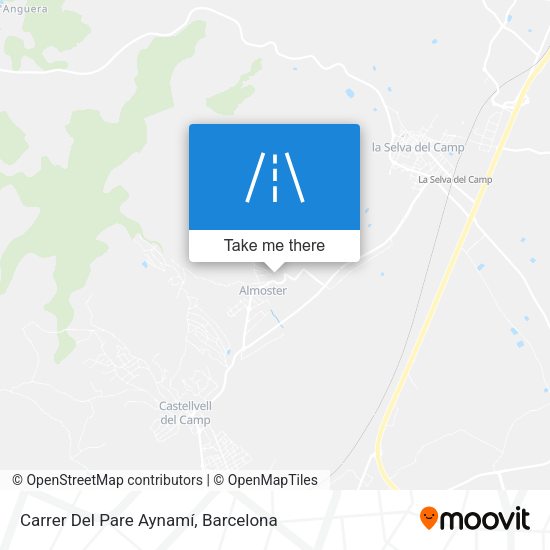 Carrer Del Pare Aynamí map