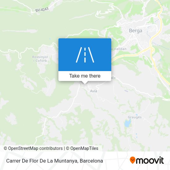 Carrer De Flor De La Muntanya map