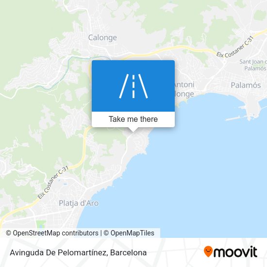 Avinguda De Pelomartínez map