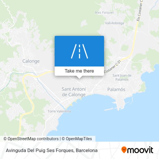 Avinguda Del Puig Ses Forques map