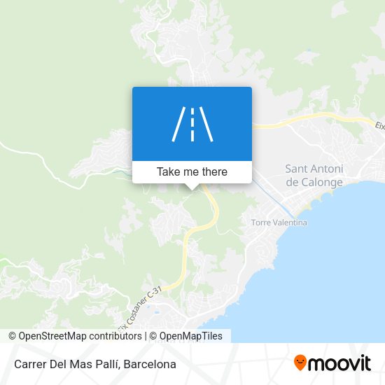 Carrer Del Mas Pallí map