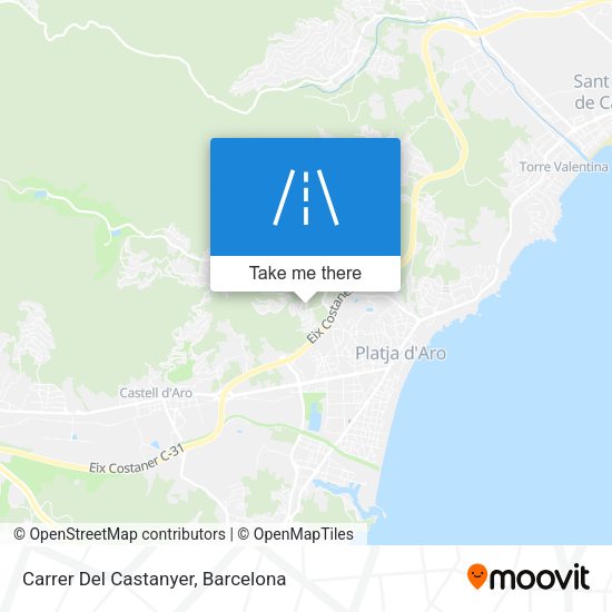 Carrer Del Castanyer map