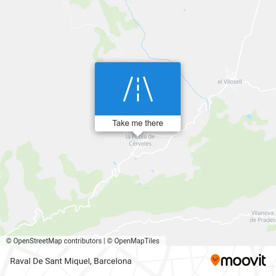Raval De Sant Miquel map