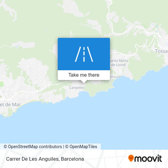 Carrer De Les Anguiles map