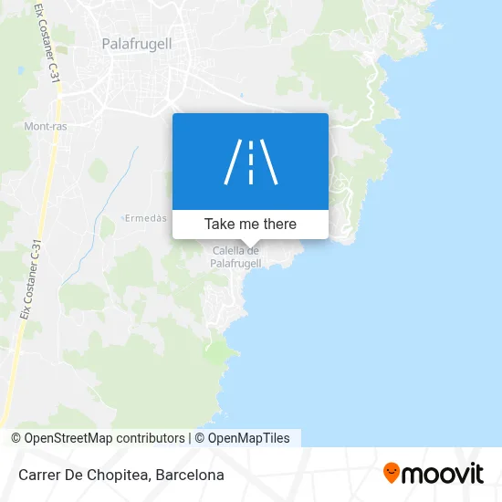 Carrer De Chopitea map