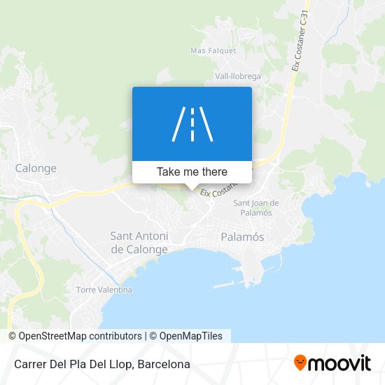 Carrer Del Pla Del Llop map