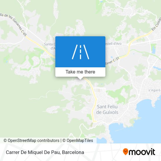 Carrer De Miquel De Pau map