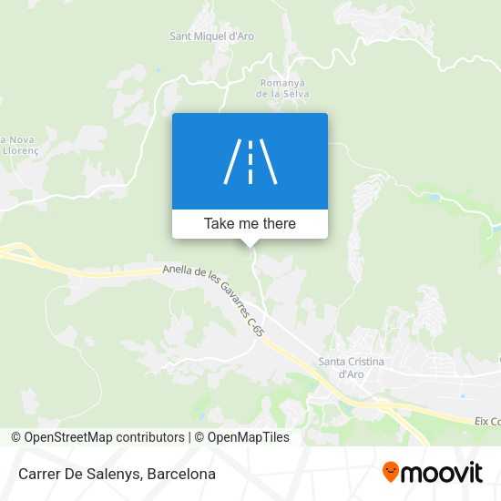 Carrer De Salenys map