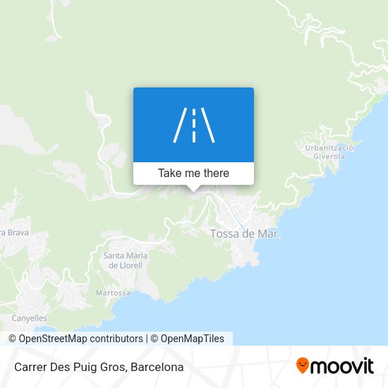 Carrer Des Puig Gros map