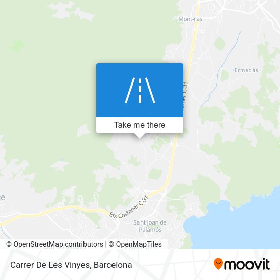 Carrer De Les Vinyes map