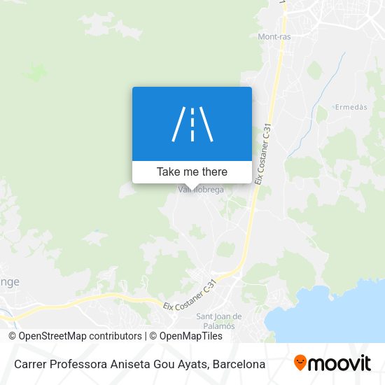Carrer Professora Aniseta Gou Ayats map
