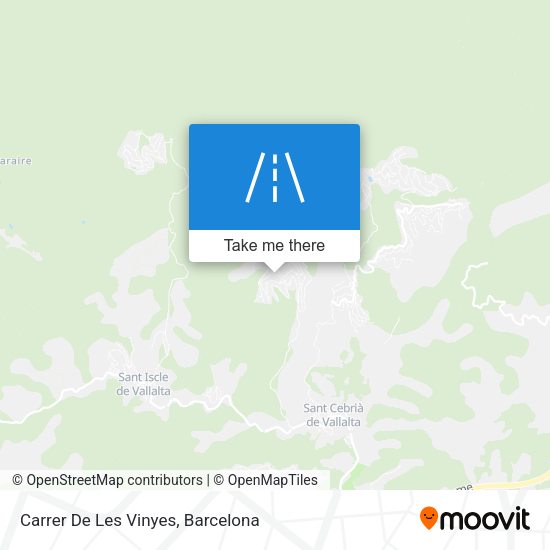 Carrer De Les Vinyes map