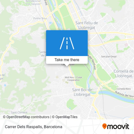 Carrer Dels Raspalls map