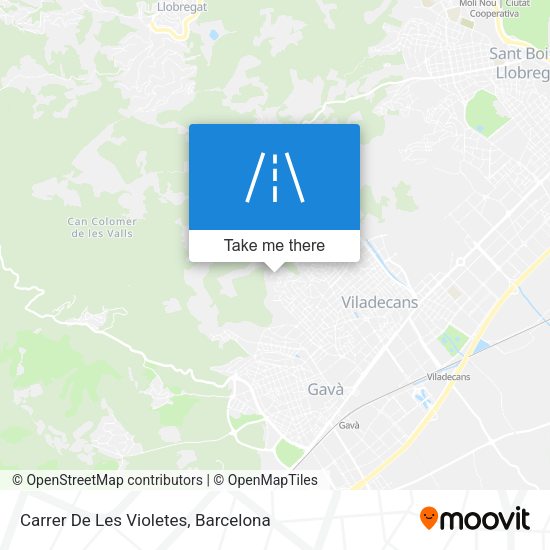 Carrer De Les Violetes map