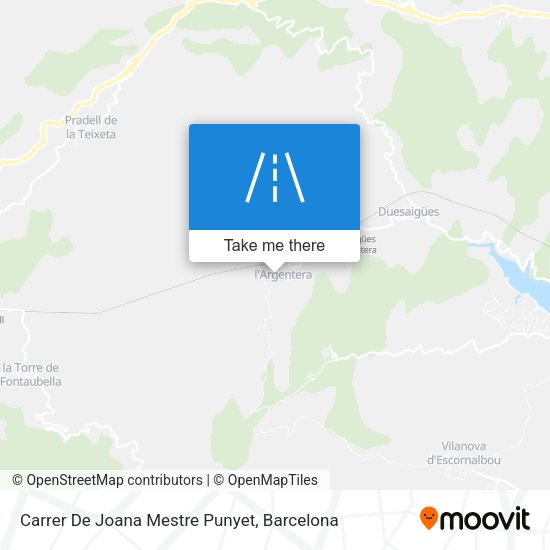 Carrer De Joana Mestre Punyet map