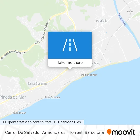 Carrer De Salvador Armendares I Torrent map