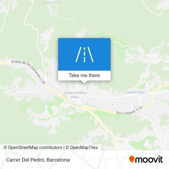 Carrer Del Pedró map