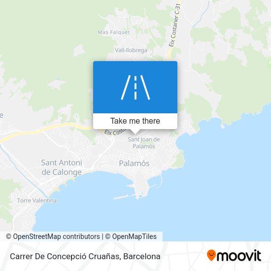 Carrer De Concepció Cruañas map