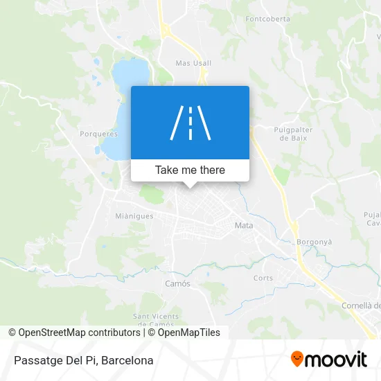 Passatge Del Pi map