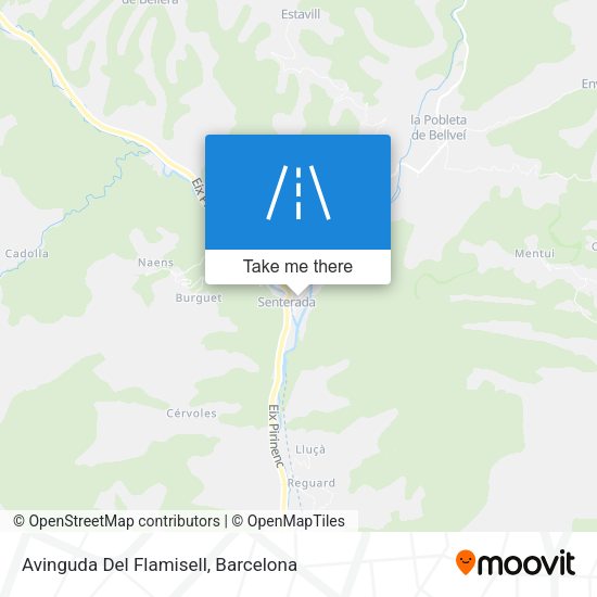Avinguda Del Flamisell map