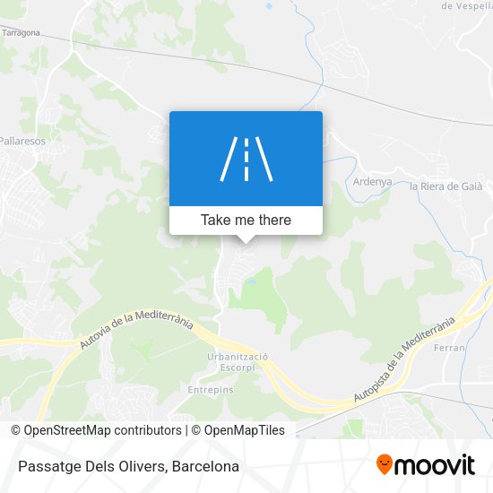 Passatge Dels Olivers map