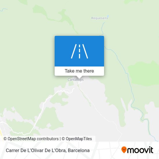 Carrer De L'Olivar De L'Obra map