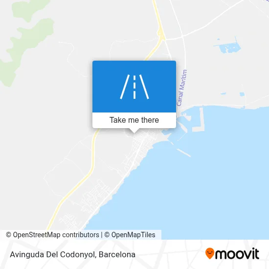 Avinguda Del Codonyol map