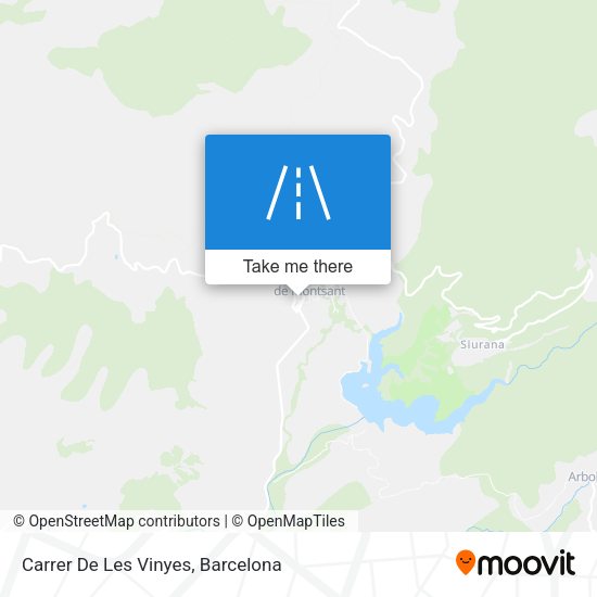Carrer De Les Vinyes map