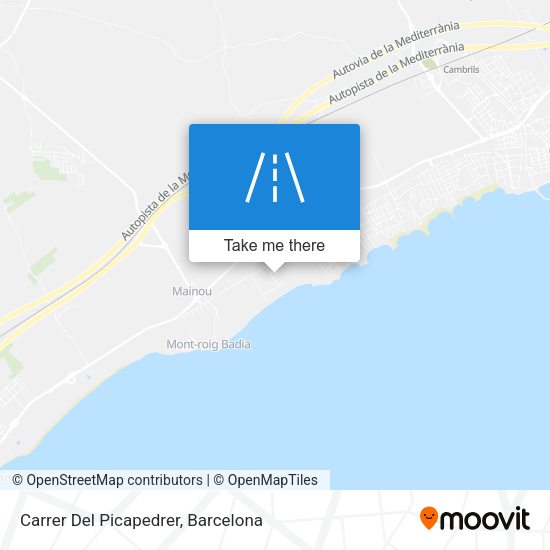 Carrer Del Picapedrer map