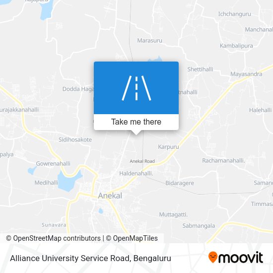 Alliance University Service Road map