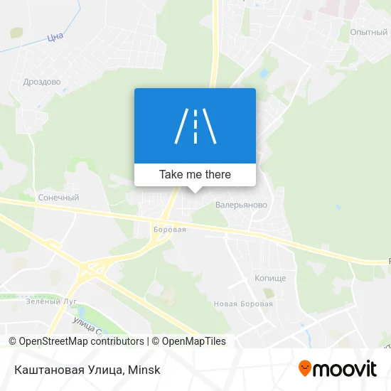 Каштановая Улица map