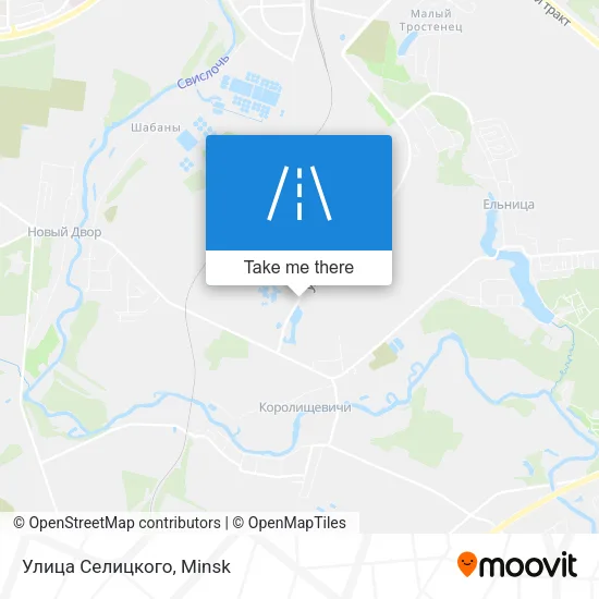 Улица Селицкого map