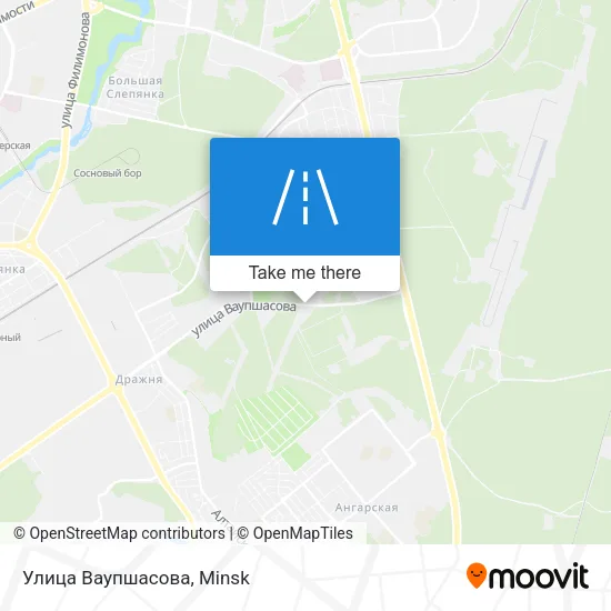 Улица Ваупшасова map