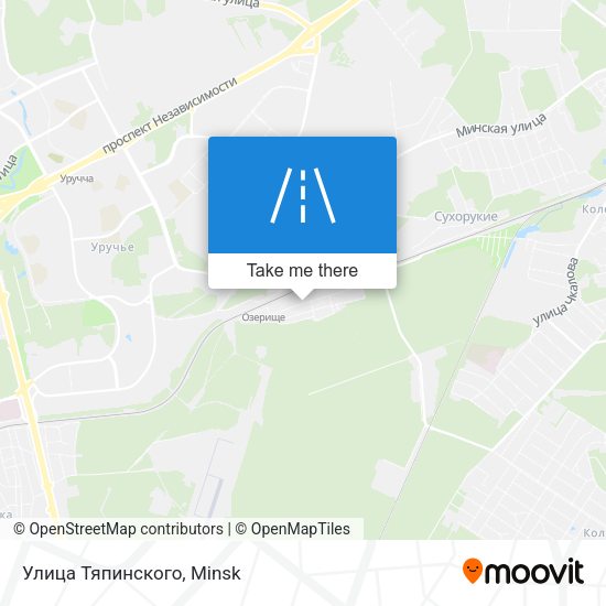 Улица Тяпинского map
