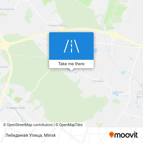 Лебединая Улица map