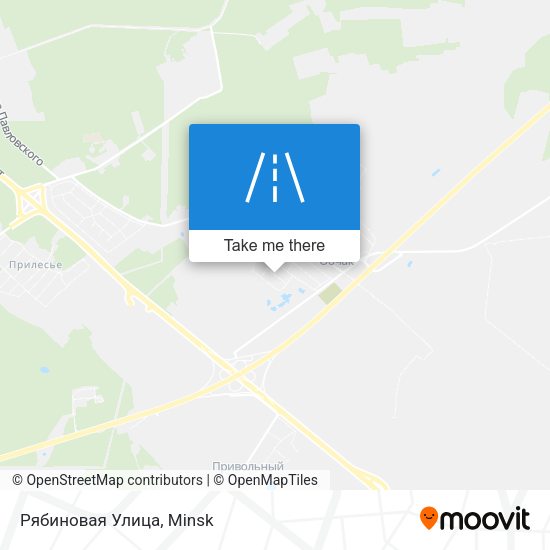 Рябиновая Улица map