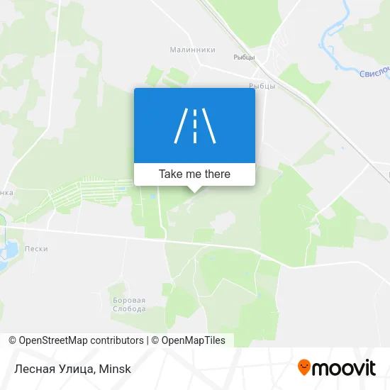 Лесная Улица map