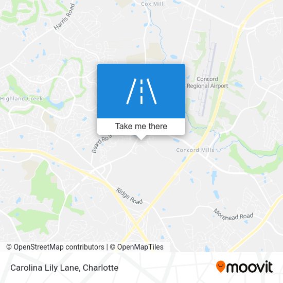 Mapa de Carolina Lily Lane