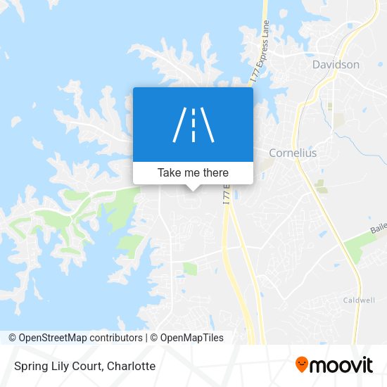 Spring Lily Court map