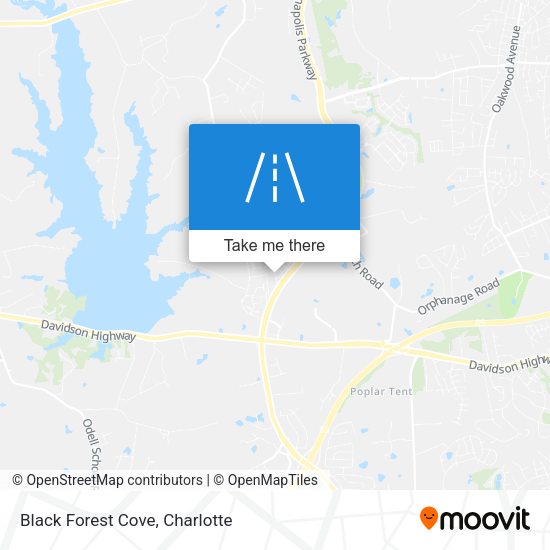 Black Forest Cove map